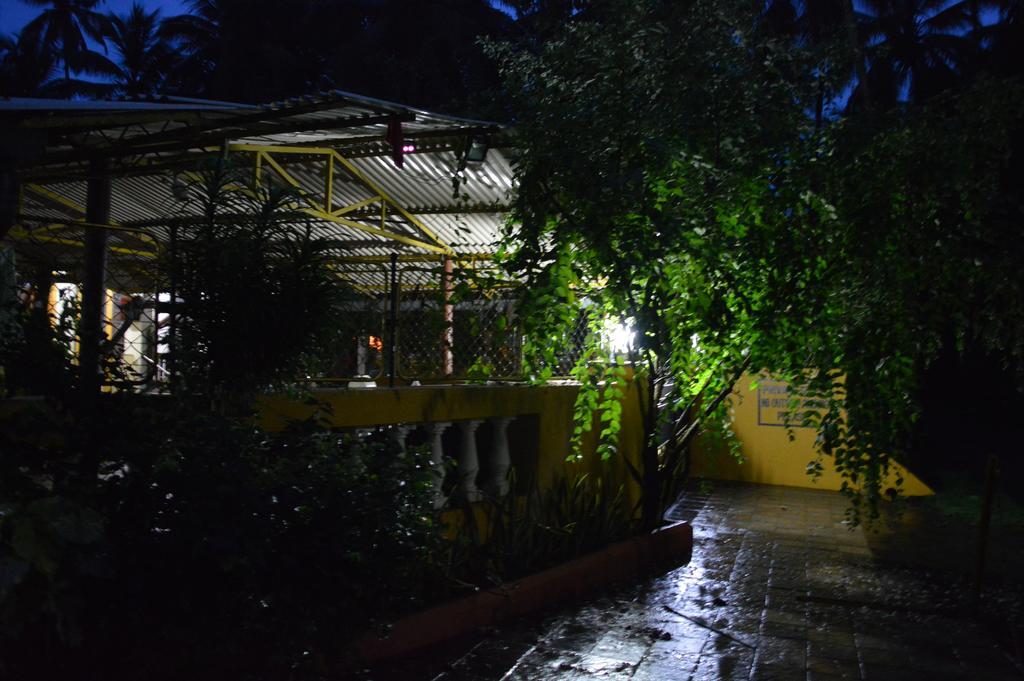 Guest house Casa Roiz